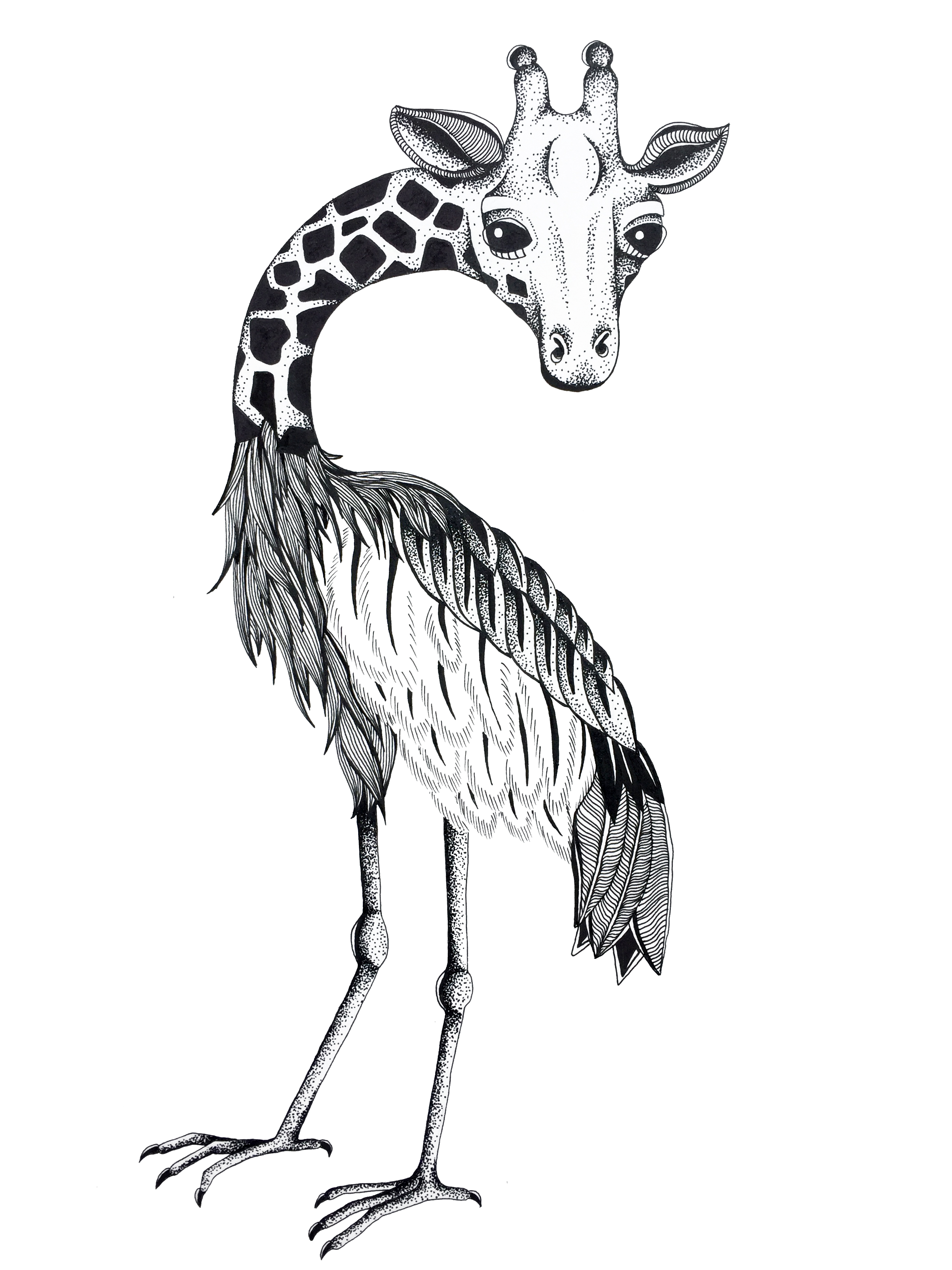 Crane_Giraffe